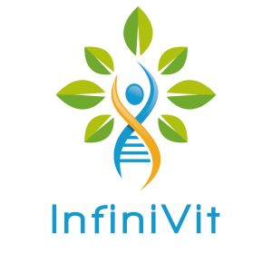 InfiniVit